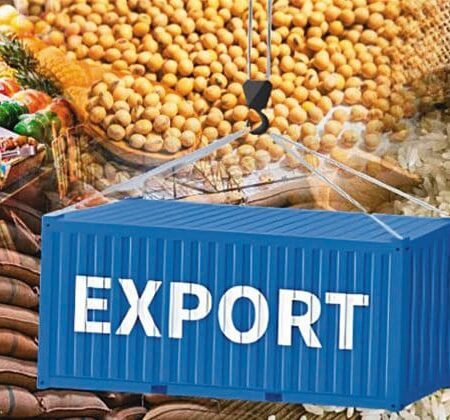 Best Agricultural Products to Export from India