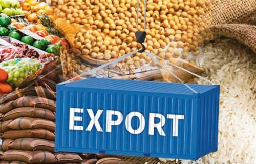 Best Agricultural Products to Export from India