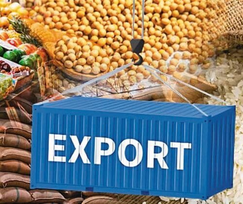 Best Agricultural Products to Export from India