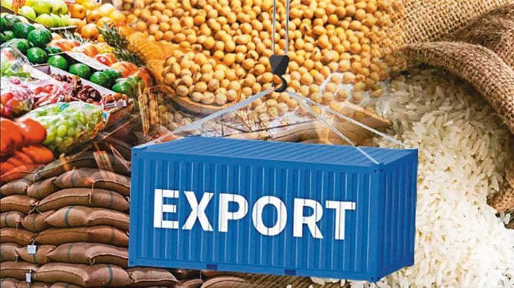 Best Agricultural Products to Export from India